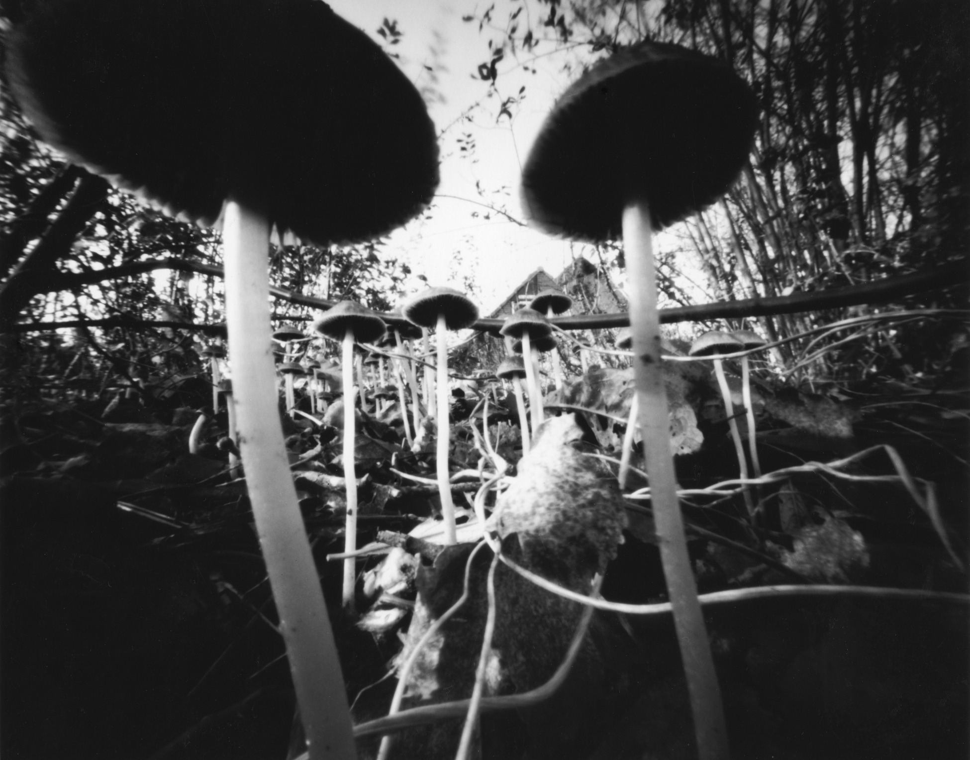 Pinhole Photography by Corine Hörmann